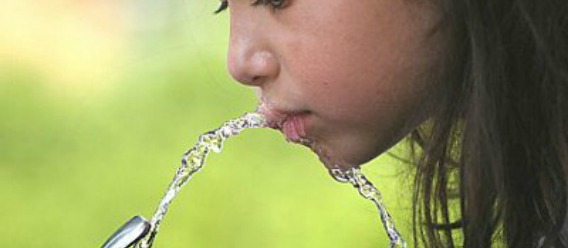 Más agua y menos sodas, ayuda contra obesidad infantil