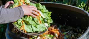 Alimentos almacenados para composta
