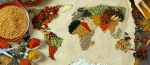 Mapa del mundo hecho con granos y semillas
