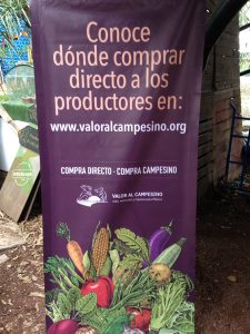 Pendón con la leyenda Conoce dónde comprar directo a los productores en www.valoralcampesino.org