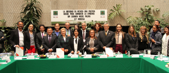Mesa de trabajo ‘La obesidad en México: una política sólida para combatir la epidemia’ que se realizó en la Cámara de Diputados el 13 de febrero de 2019