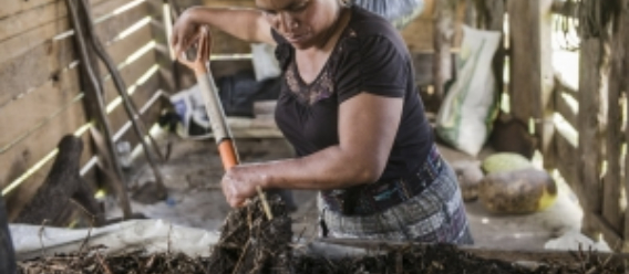 Agricultora familiar removiendo su tierra con una pala
