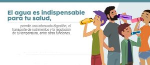 Fragmento del infográfico ¿Sabes de dónde viene el agua que bebes?