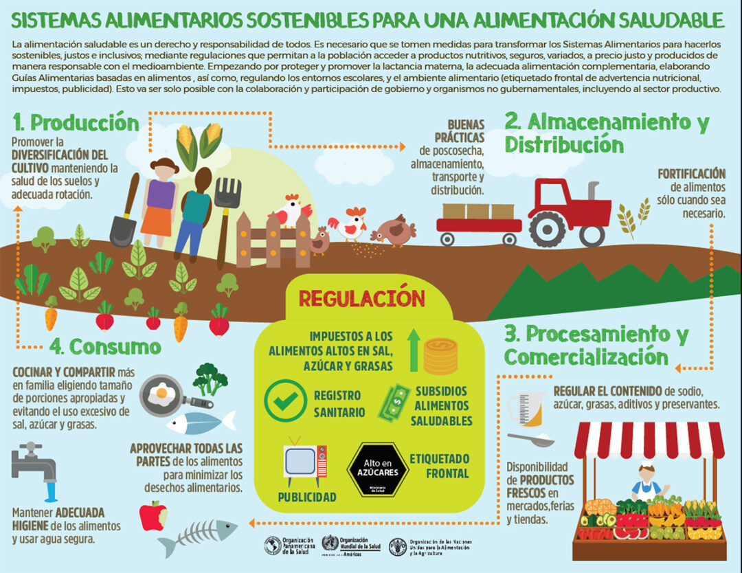 Fortalecer el sistema alimentario frente al COVID-19 - Alianza por la