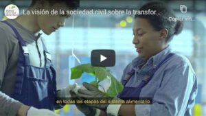 Portada del video La visión de la sociedad civil sobre la transformación de los sistemas alimentarios