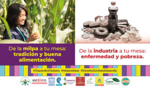 Ejemplo de cartel de la segunda etapa de la campaña “Por el derecho a una vida sana, Oaxaca sin Chatarra”