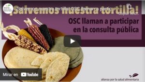 Portada del video ¡Salvemos nuestra tortilla! Organizaciones de la sociedad civil llaman a participar en la consulta pública