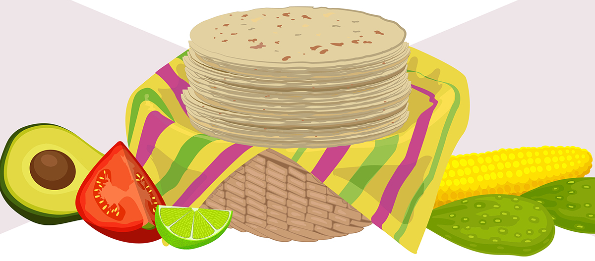 Ilustración del infográfico ¿Cómo identificar una tortilla que no es de maíz nixtamalizado?