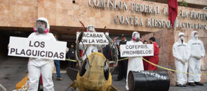 Acción civil contra el uso de plaguicidas en oficinas de la Cofepris