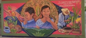 Mural de Ana Xhopa de la campaña #OaxacaSinChatarra