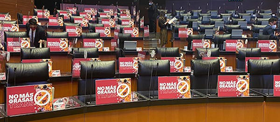 Carteles con la leyenda No más grasas trans en cada asiento del Senado de la República en México