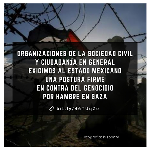 Banner completo del pronunciamiento con imagen alusiva y la leyenda Organizaciones de la sociedad civil y ciudadanía en general exigimos al Estado mexicano una postura firme en contra del genocidio por hambre en Gaza