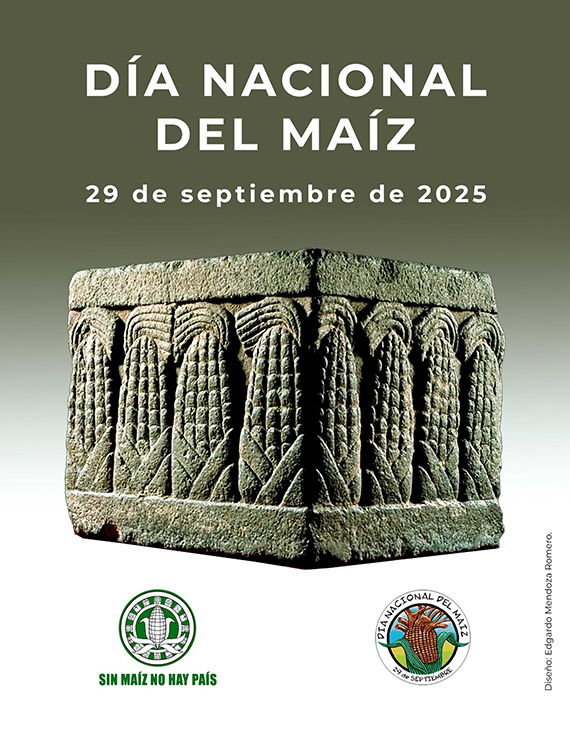 Imagen de una columna de maíces labrados en piedra, para este pronunciamiento, con la leyenda Día Nacional del Maíz 29 de septiembre de 2025
